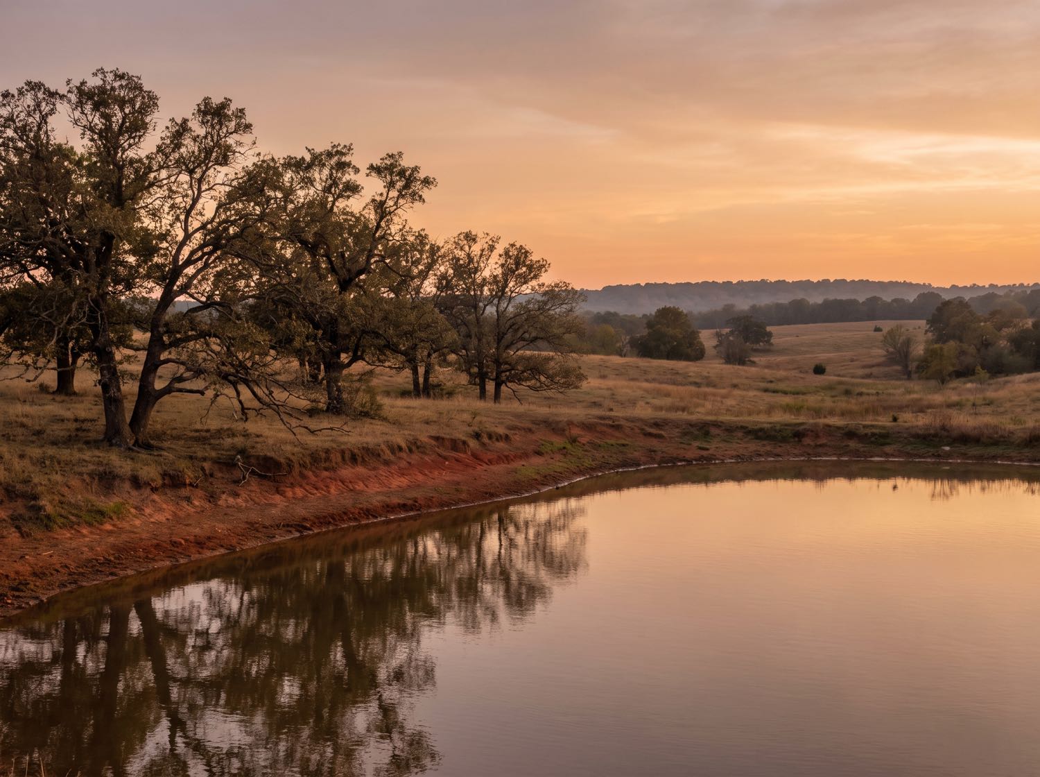 Land & Acreage in Northeast Texas